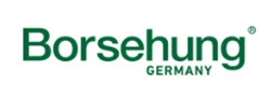 Borsehung